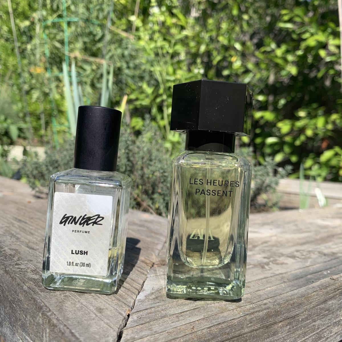 عطر ادکلن جینجر لاش - Ginger Lush - بررسی، قیمت و خرید