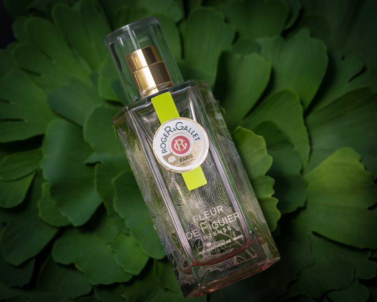 عطر ادکلن فلور د فیگیر او دو پرفیوم راجر اند گاله - Fleur de Figuier Eau de Parfum Roger & Gallet - بررسی، قیمت و خرید