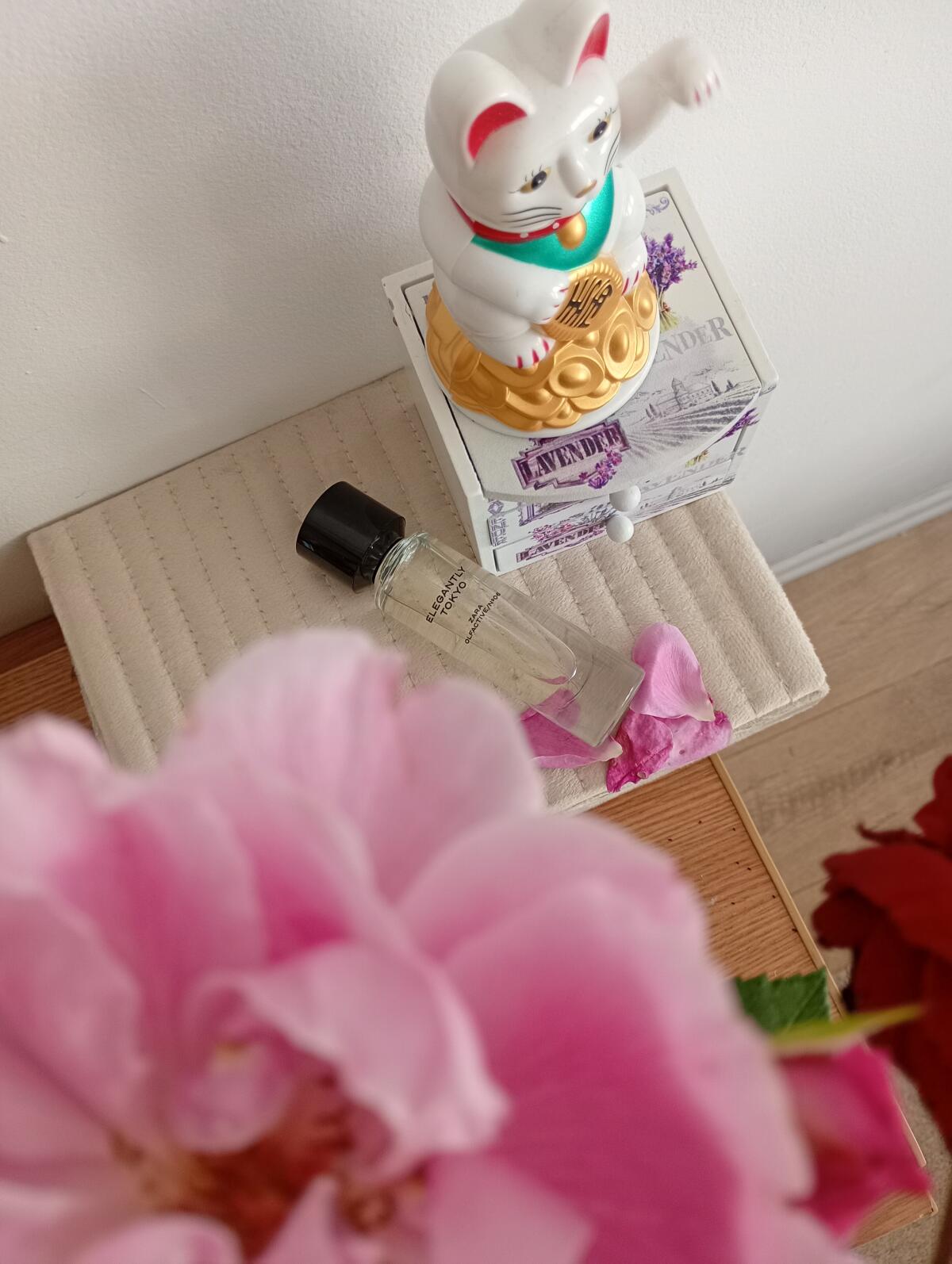 عطر ادکلن اِلِگانتلی توکیو زارا - Elegantly Tokyo Zara - بررسی، قیمت و خرید