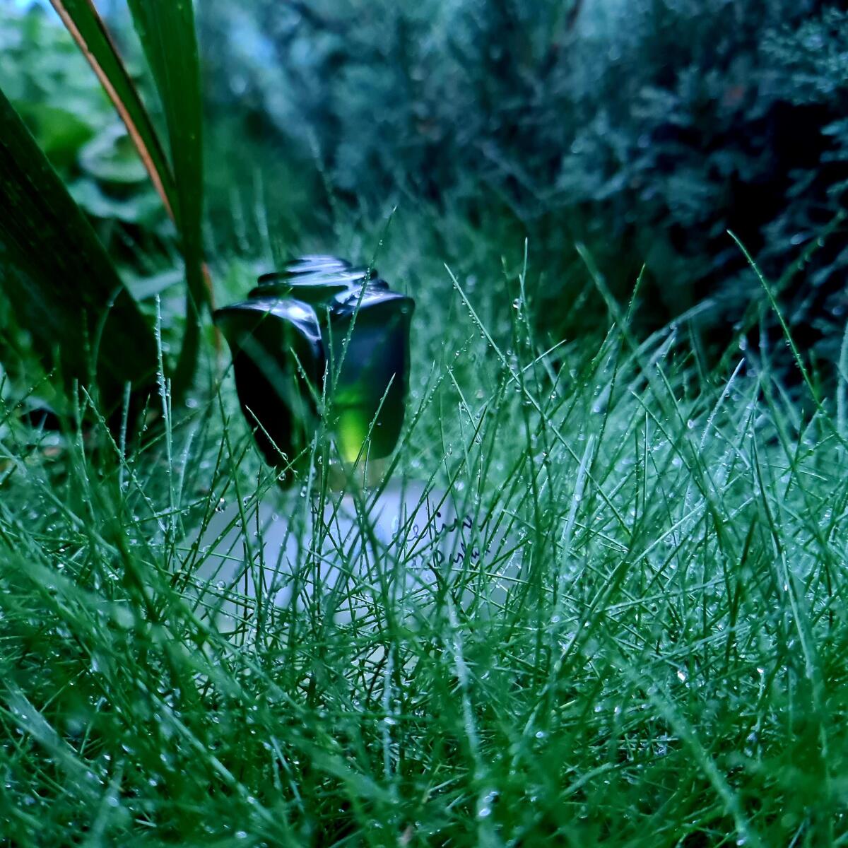 عطر ادکلن کاترین راساسـی - Catherine Rasasi - بررسی، قیمت و خرید