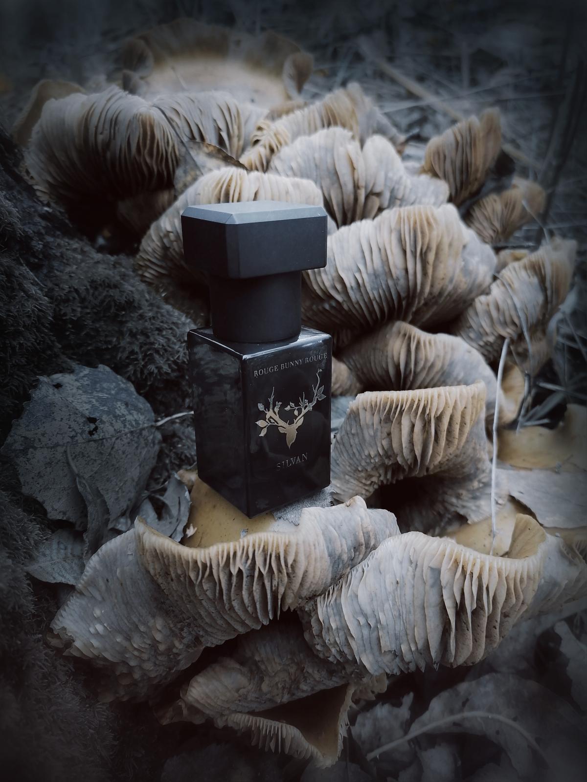 عطر ادکلن سیلوان روژ بانی روژ - Silvan Rouge Bunny Rouge - بررسی، قیمت و خرید