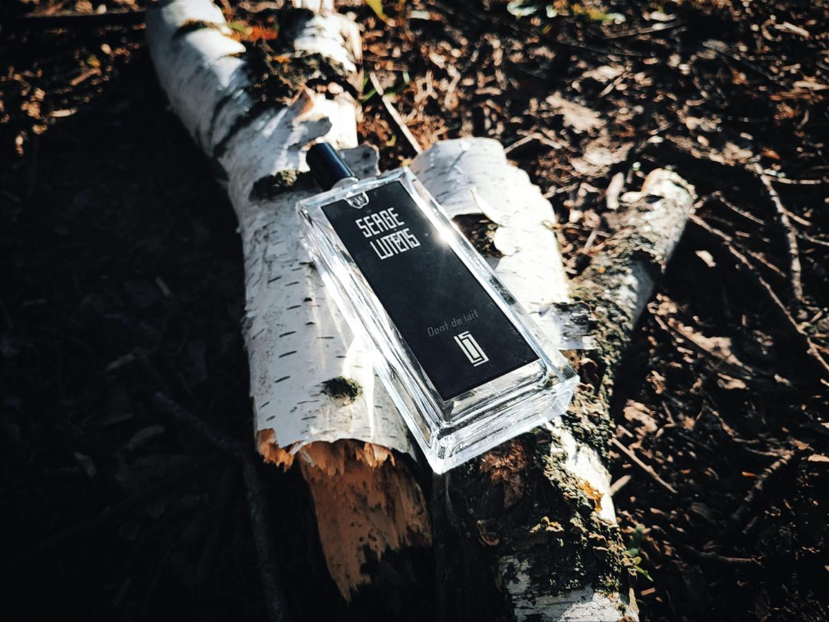 عطر ادکلن دندلی سرج لوتانز - Dent de Lait Serge Lutens - بررسی، قیمت و خرید