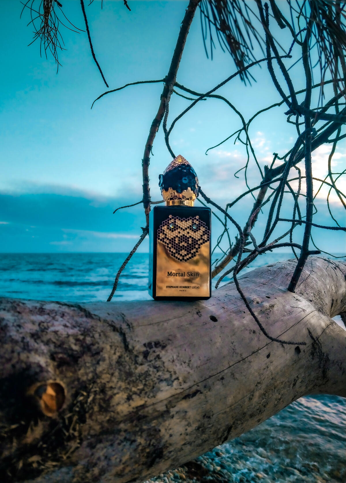 عطر ادکلن مورتال اسکین استفان هامبرت لوکاس هفتصد و هفتاد و هفت - Mortal Skin Stéphane Humbert Lucas 777 - بررسی، قیمت و خرید