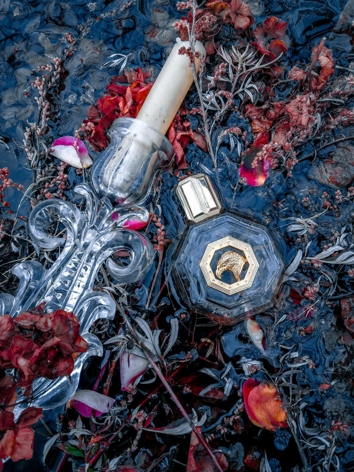 عطر ادکلن رویال ایگل گلد استفانو ریچی - Royal Eagle Gold Stefano Ricci - بررسی، قیمت و خرید