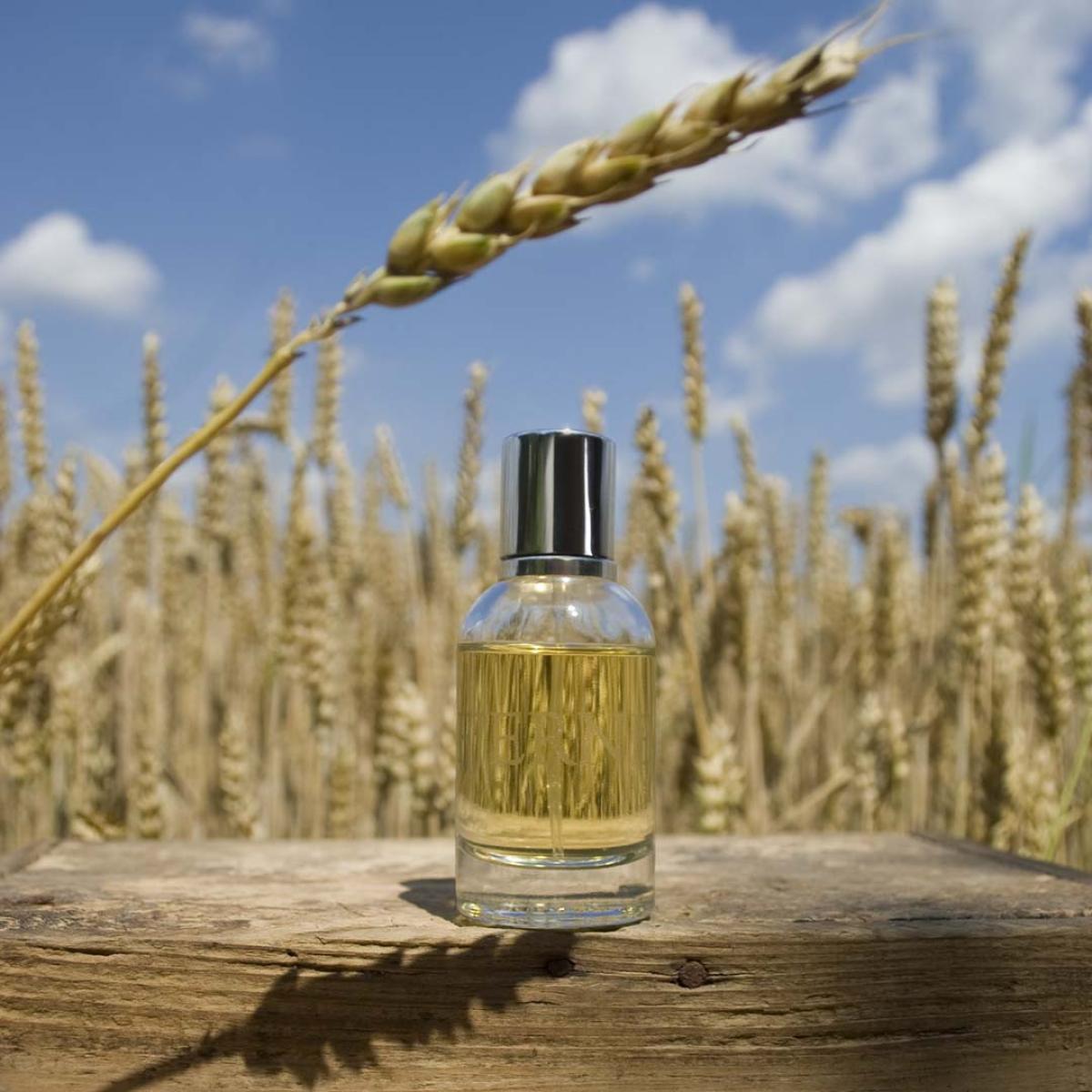 عطر ادکلن فییرنه اسلمبرهاوس - Fjerne Slumberhouse - بررسی، قیمت و خرید