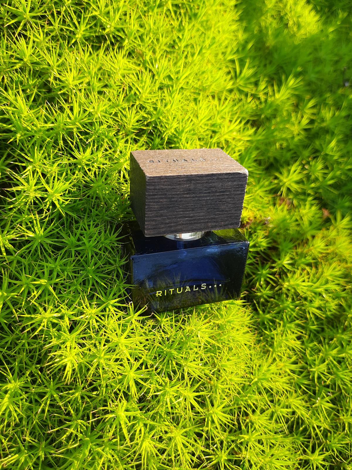 عطر ادکلن پوام دازار ریچوالز - Poème d'Azar Rituals - بررسی، قیمت و خرید