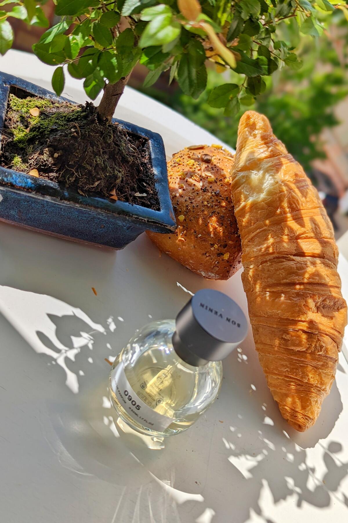 عطر ادکلن صفر نهصد و پنج سان ونین - 0905 Son Venïn - بررسی، قیمت و خرید