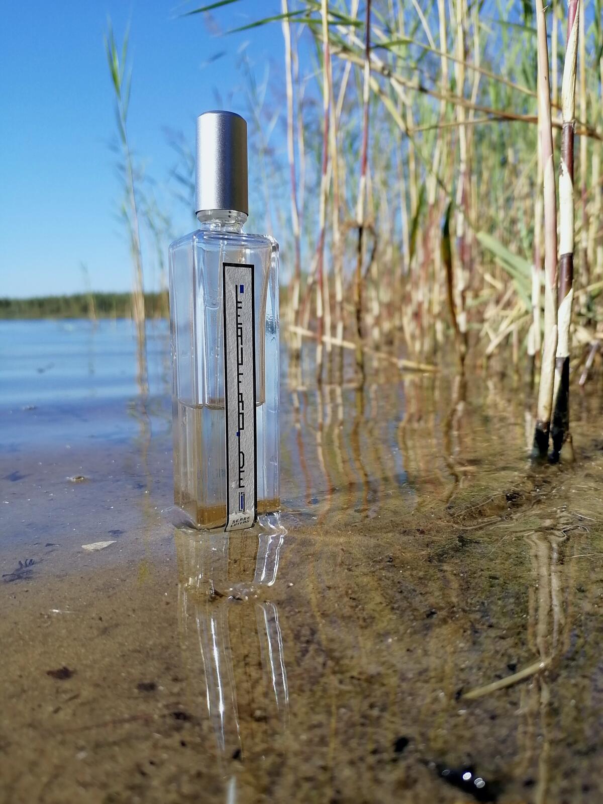 عطر ادکلن لو فغوید سرج لوتانس - L'Eau Froide Serge Lutens - بررسی، قیمت و خرید