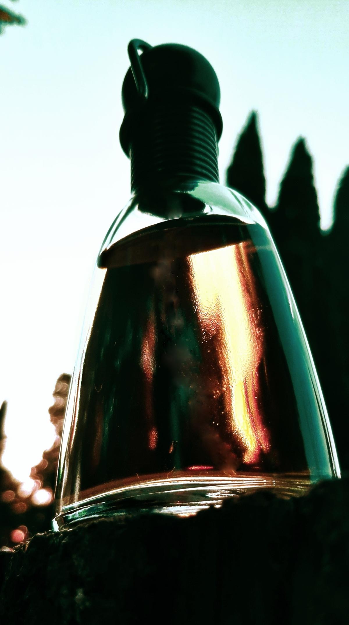 عطر ادکلن سود است رومئو جیلی - Sud Est Romeo Gigli - بررسی، قیمت و خرید