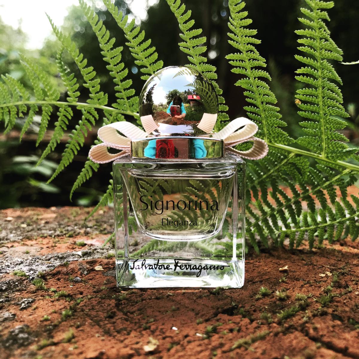 عطر ادکلن سینیورینا الاگانزا سالواتوره فراگامو - Signorina Eleganza Salvatore Ferragamo - بررسی، قیمت و خرید