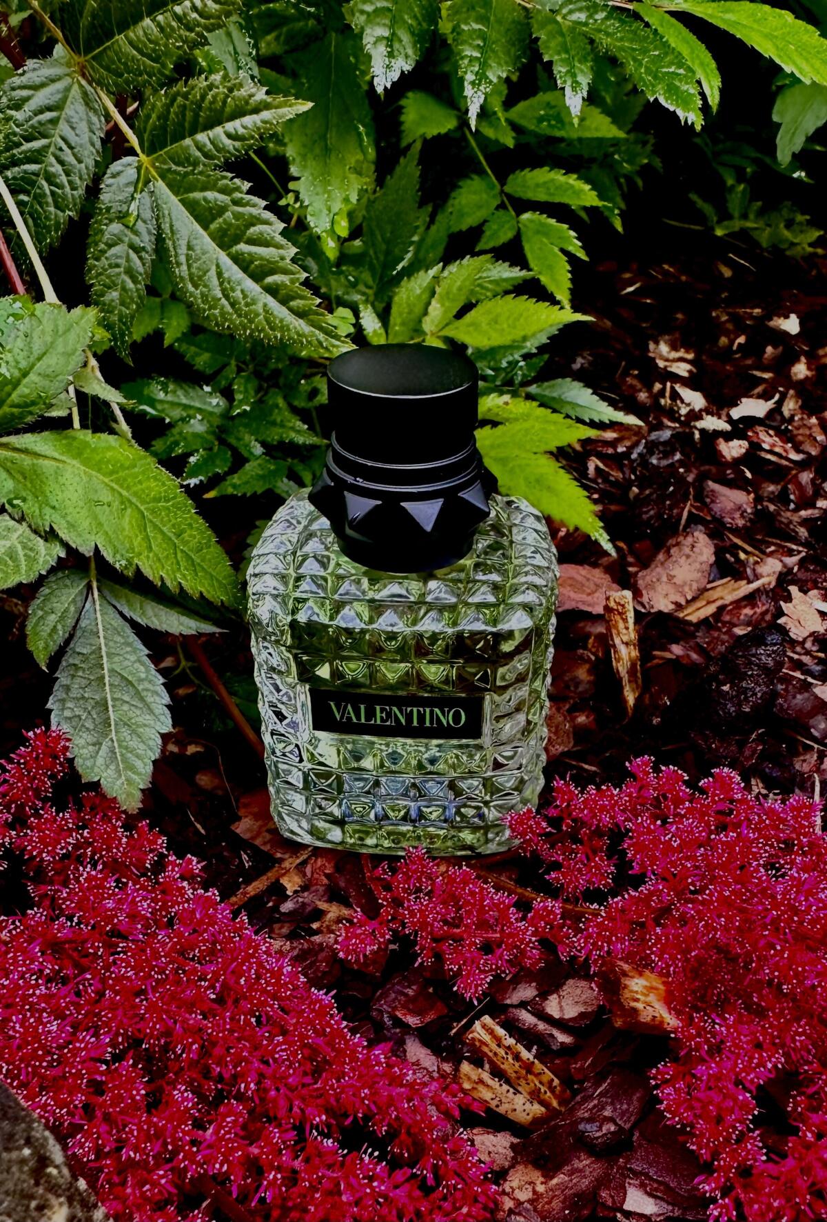 عطر ادکلن والنتینو دونا بورن این روما گرین استراواگانزا والنتینو - Valentino Donna Born in Roma Green Stravaganza Valentino - بررسی، قیمت و خرید