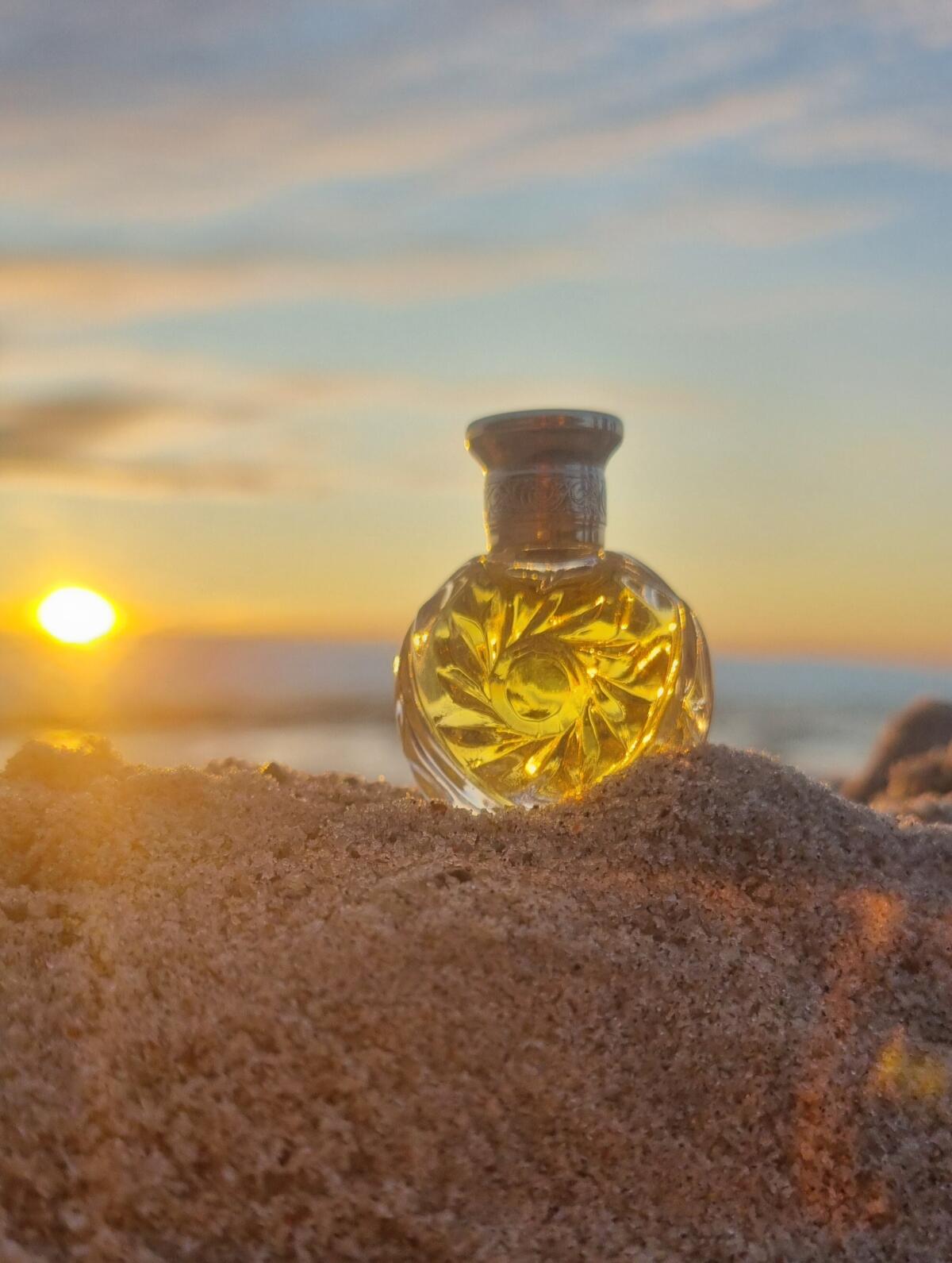 عطر ادکلن سافاری رالف لورن - Safari Ralph Lauren - بررسی، قیمت و خرید