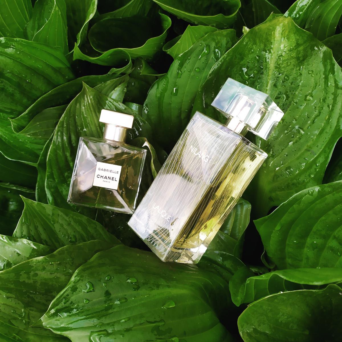 عطر ادکلن نیلنگ دویست و یازده لالیک - Nilang 2011 Lalique - بررسی، قیمت و خرید