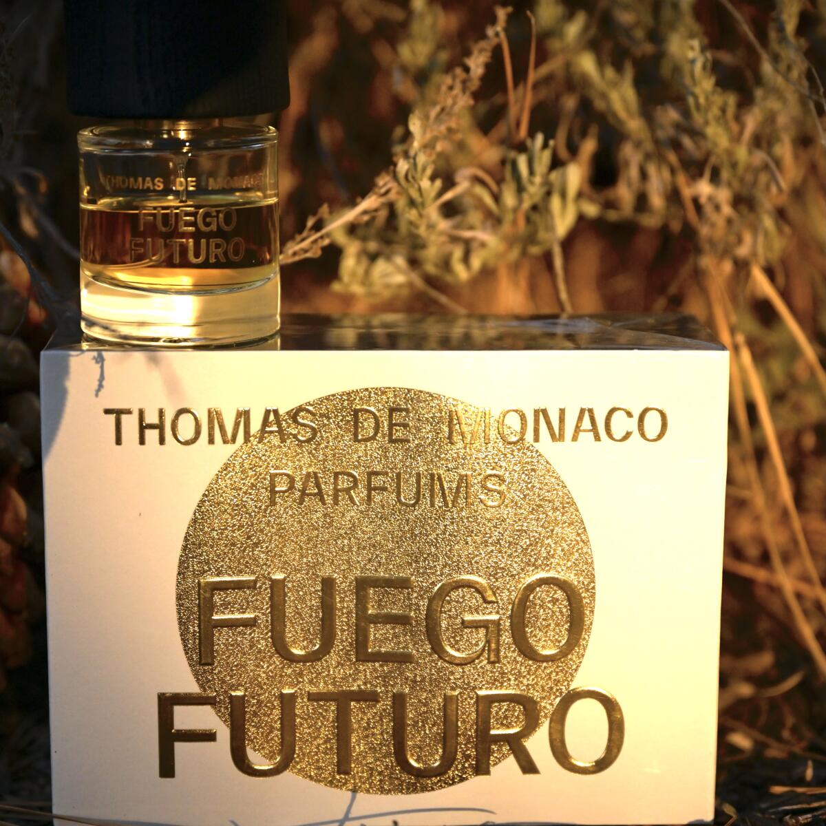عطر ادکلن فویگو فوتورو اکستریت د پارفوم توماس د موناکو - Fuego Futuro Extrait de Parfum Thomas de Monaco - بررسی، قیمت و خرید