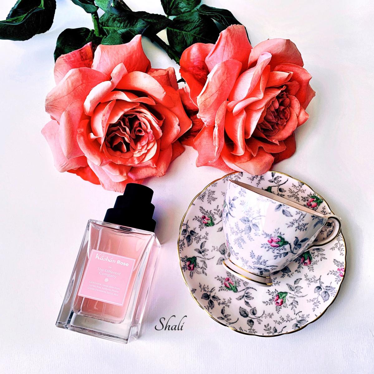 عطر ادکلن کاشان رز دی دیفرنت کمپانی - Kâshân Rose The Different Company - بررسی، قیمت و خرید