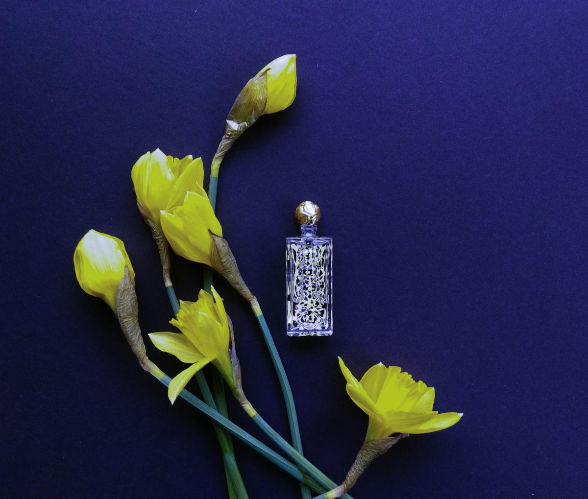 عطر ادکلن دالی وایلد سالوادور دالی - Dali Wild Salvador Dali - بررسی، قیمت و خرید