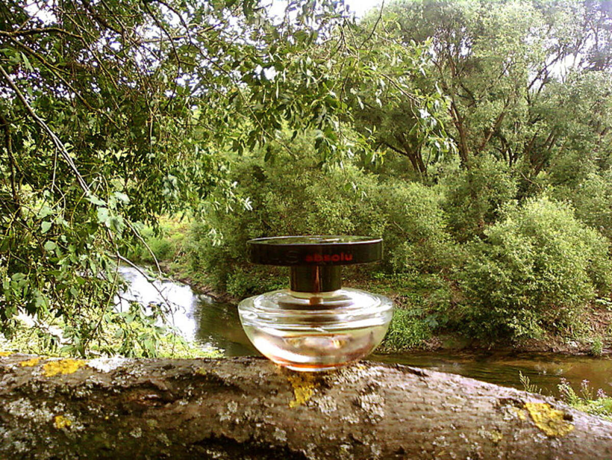 عطر ادکلن ابسولو روشاس - Absolu Rochas - بررسی، قیمت و خرید