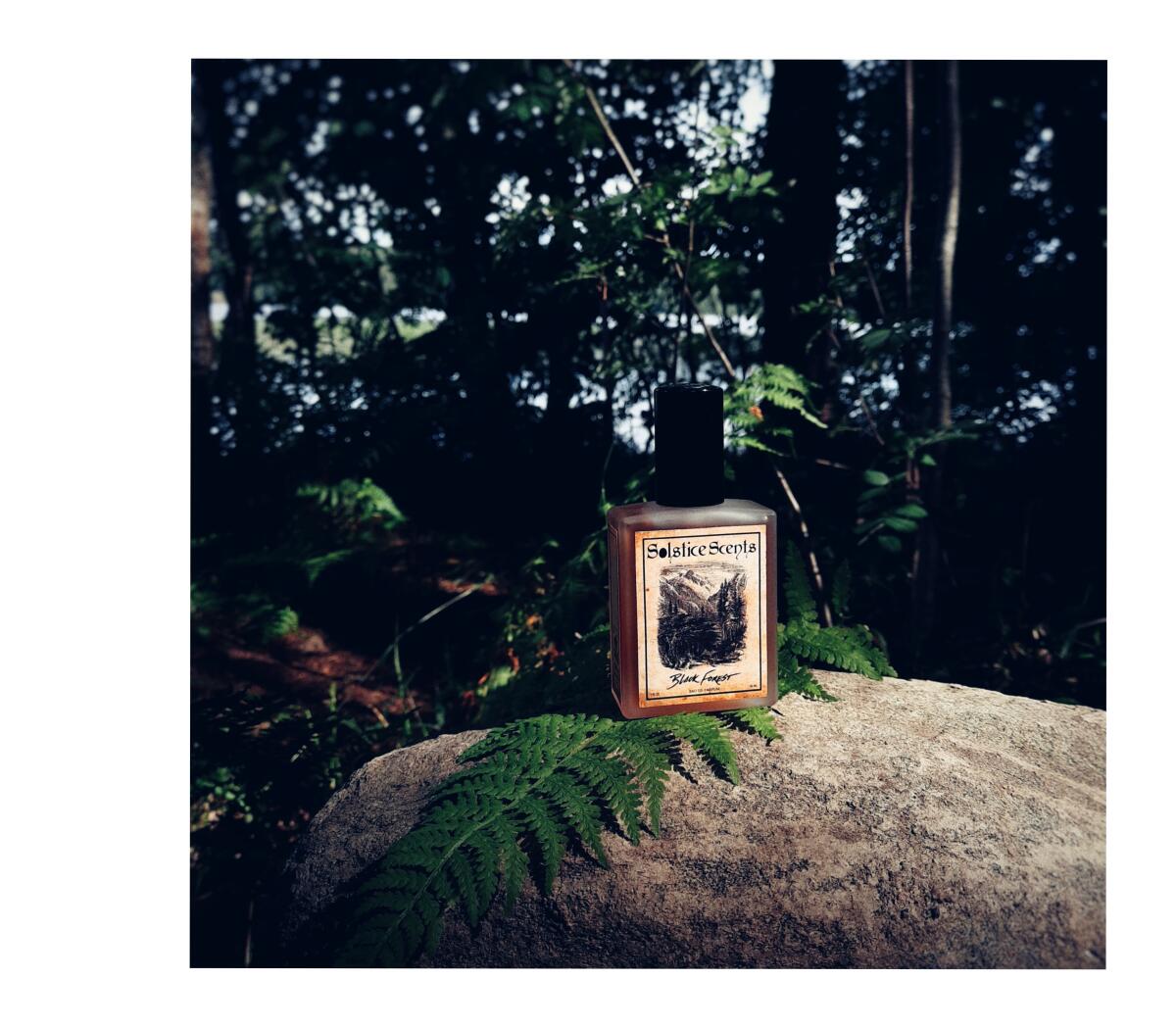 عطر ادکلن بِلَک فاریست سولستیس سنتس - Black Forest Solstice Scents - بررسی، قیمت و خرید