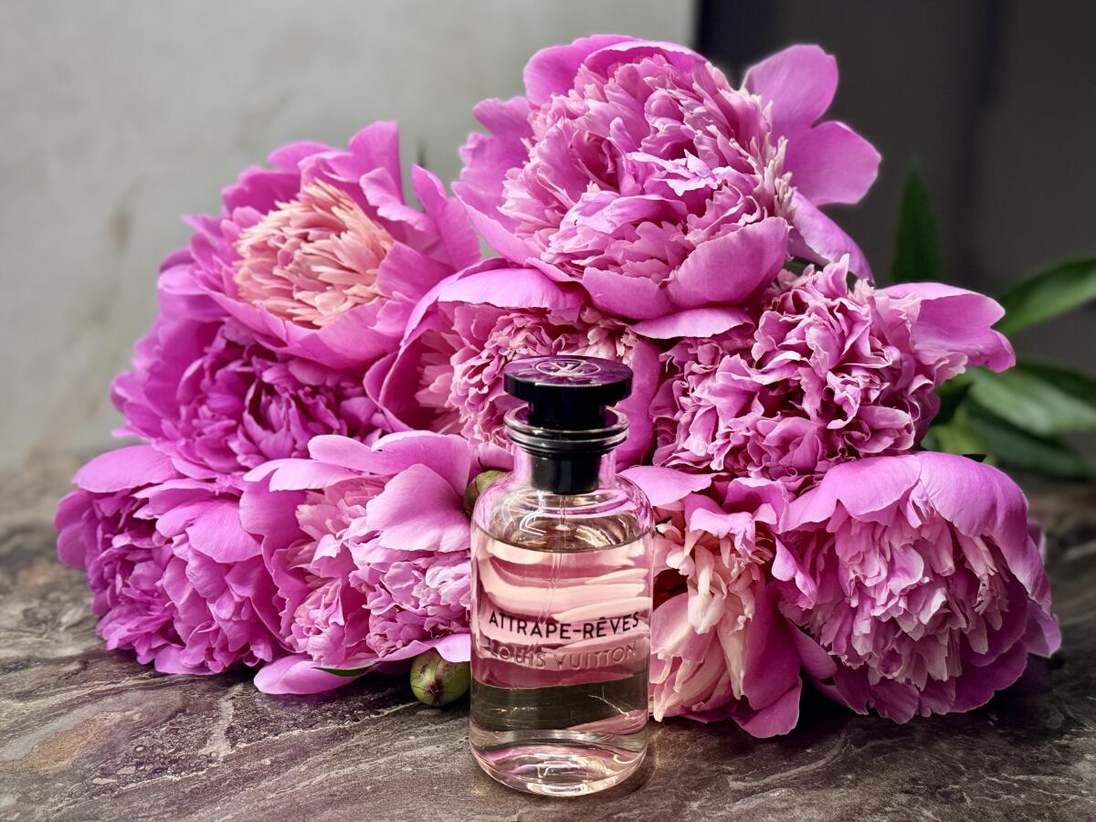 عطر ادکلن اتراپ رو لویی ویتان - Attrape-Rêves Louis Vuitton - بررسی، قیمت و خرید