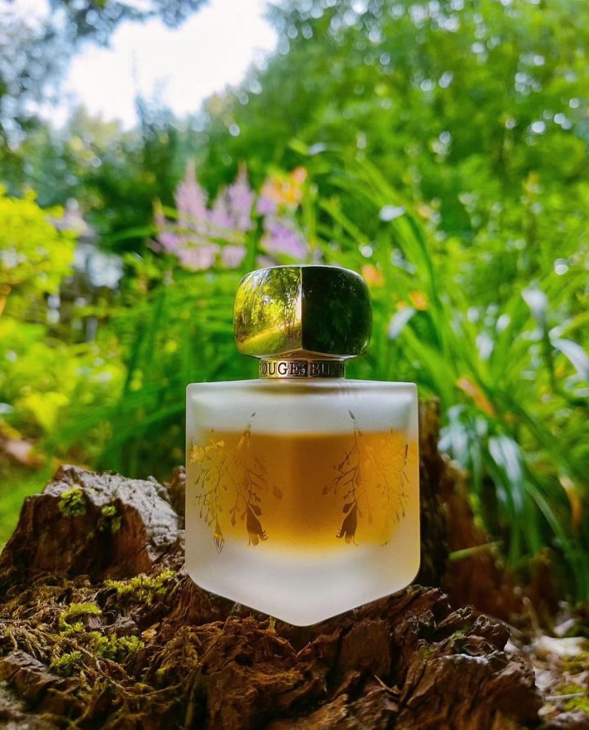 عطر ادکلن لیلْت روژ بانی روژ - Lilt Rouge Bunny Rouge - بررسی، قیمت و خرید