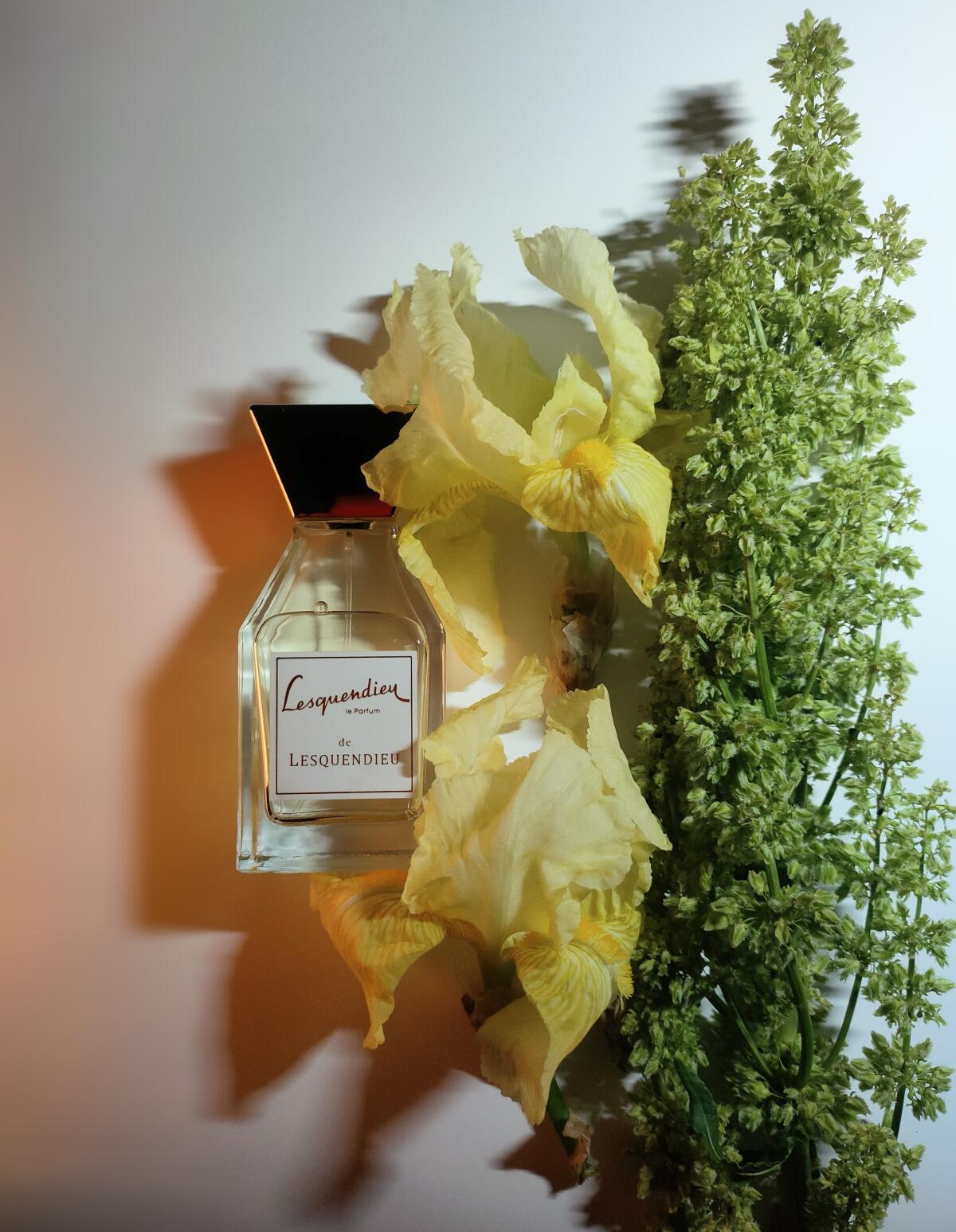 عطر ادکلن عودمار منسفیلد - Oudamar Mansfield - بررسی، قیمت و خرید