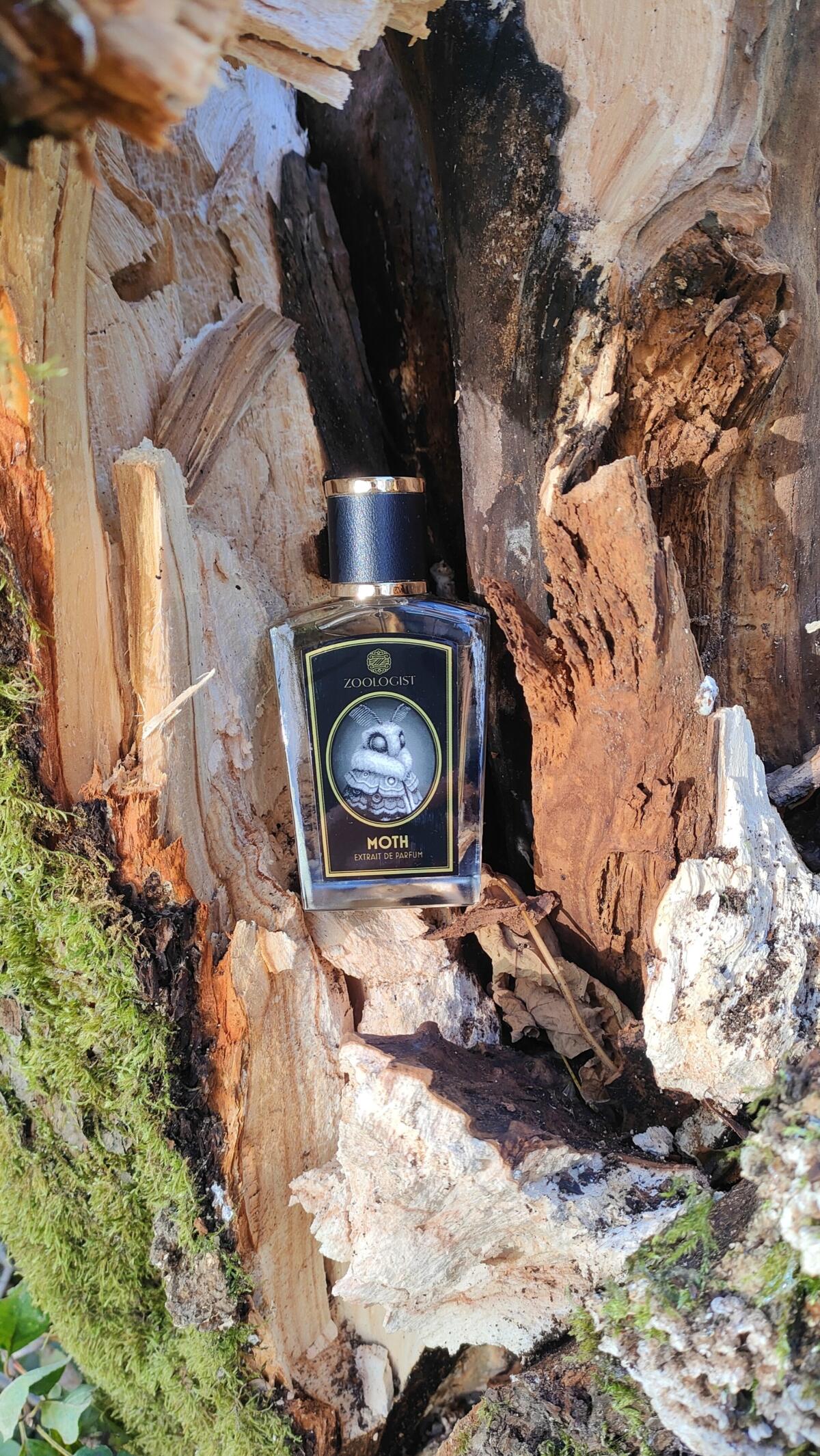 عطر ادکلن مات زولاجیست پرفیومز - Moth Zoologist Perfumes - بررسی، قیمت و خرید