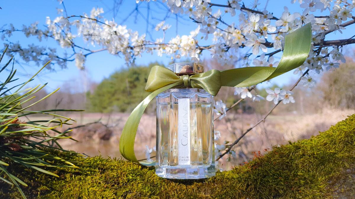 عطر ادکلن کالینا لارتیزان پرفیومر - Caligna L'Artisan Parfumeur - بررسی، قیمت و خرید