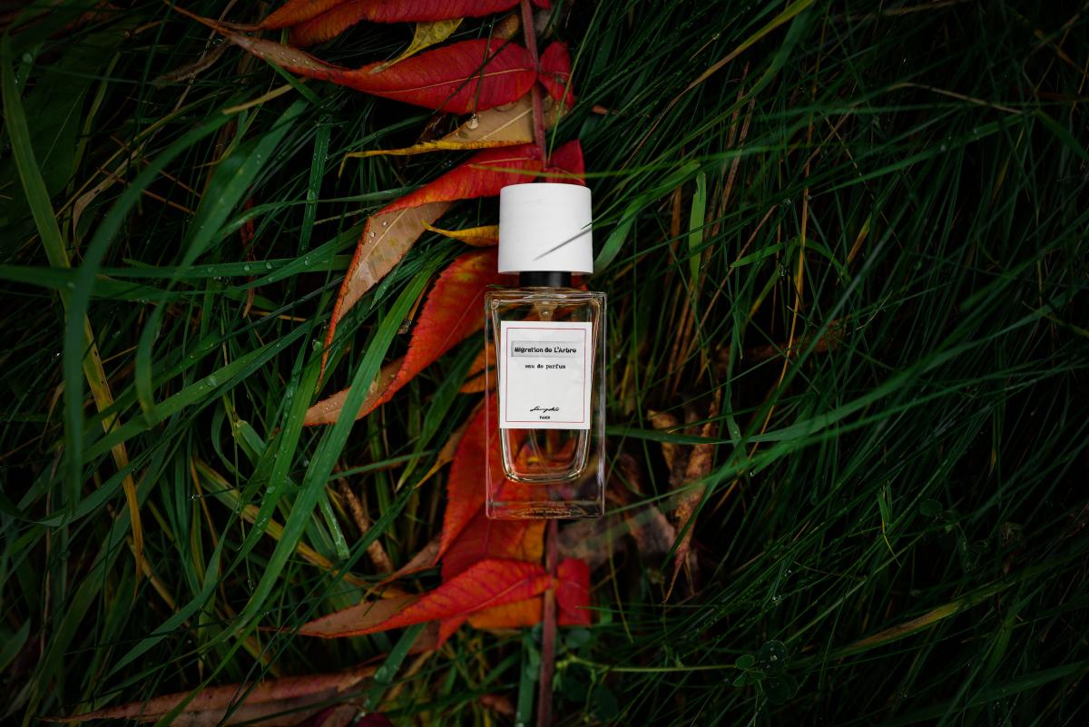 عطر ادکلن مایگریشن د لرب سنیوکو - Migration de L'Arbre Senyokô - بررسی، قیمت و خرید