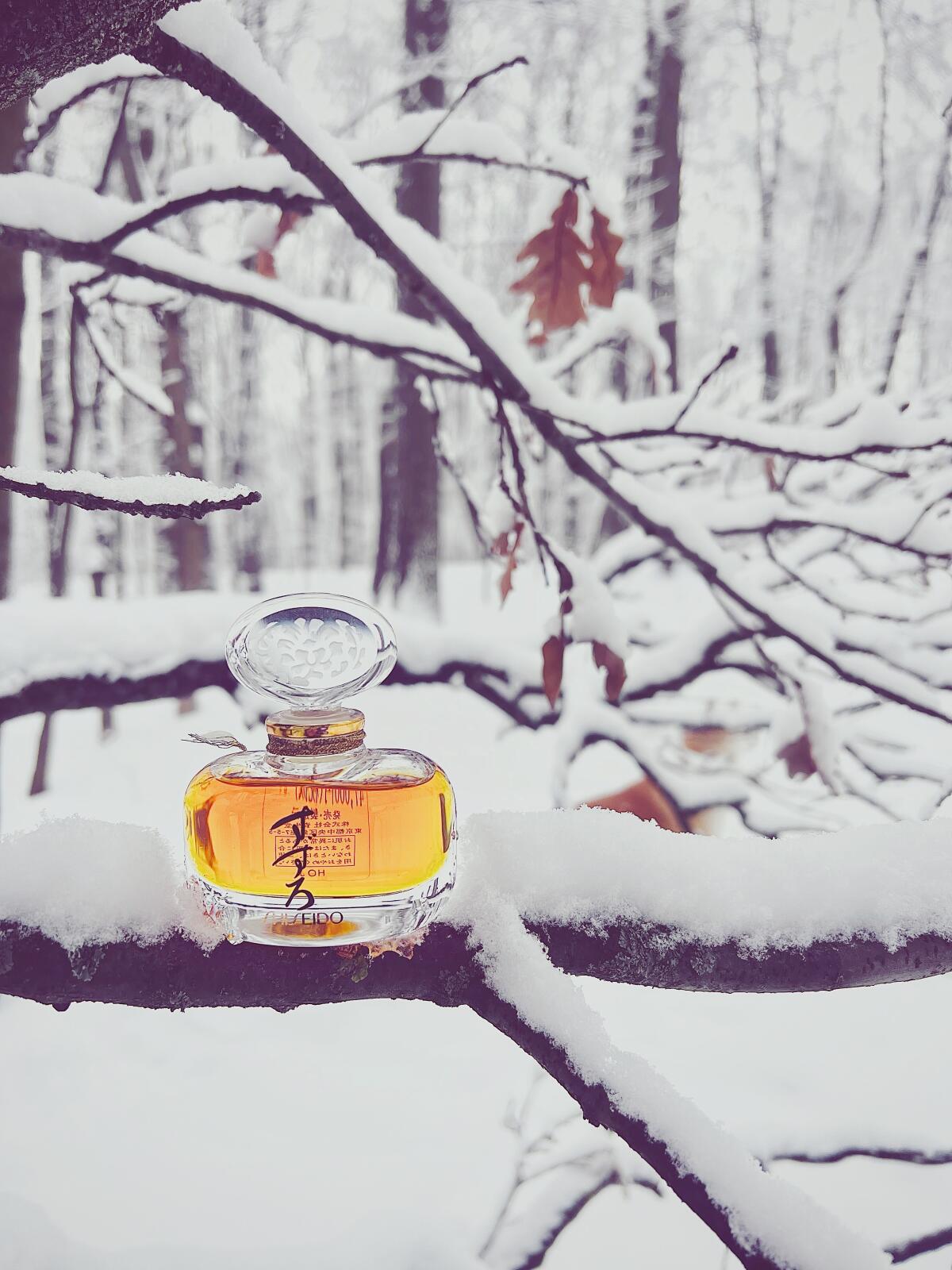 عطر ادکلن سوزورو شیسیدو - Suzuro Shiseido - بررسی، قیمت و خرید