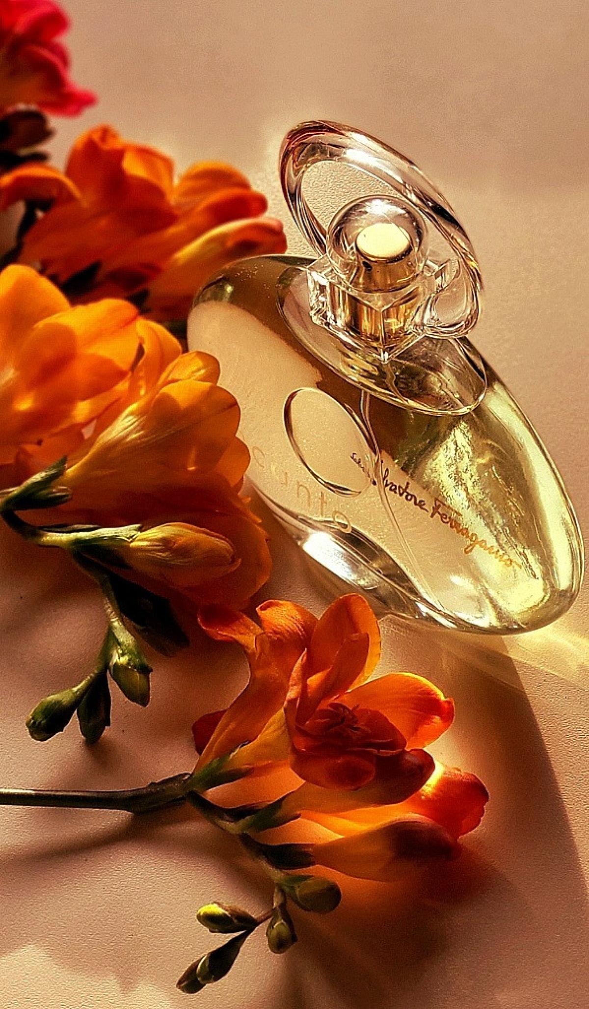 عطر ادکلن اینکنتو سالواتوره فراگامو - Incanto Salvatore Ferragamo - بررسی، قیمت و خرید