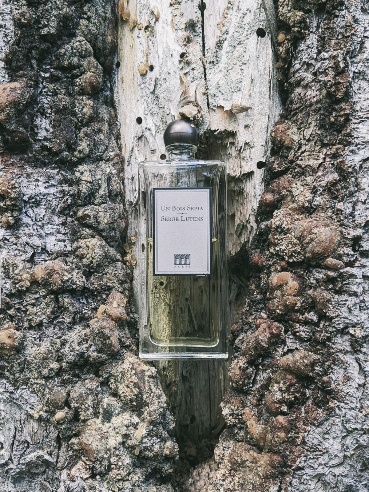 عطر ادکلن آن بوا سپیا سرژ لوتنس - Un Bois Sepia Serge Lutens - بررسی، قیمت و خرید