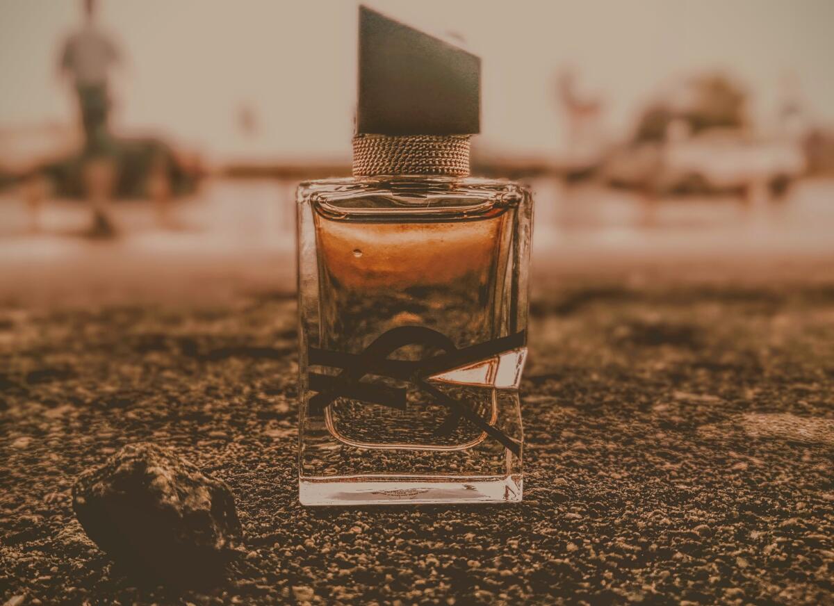 عطر ادکلن لیبره ایو سن لوران - Libre Yves Saint Laurent - بررسی، قیمت و خرید