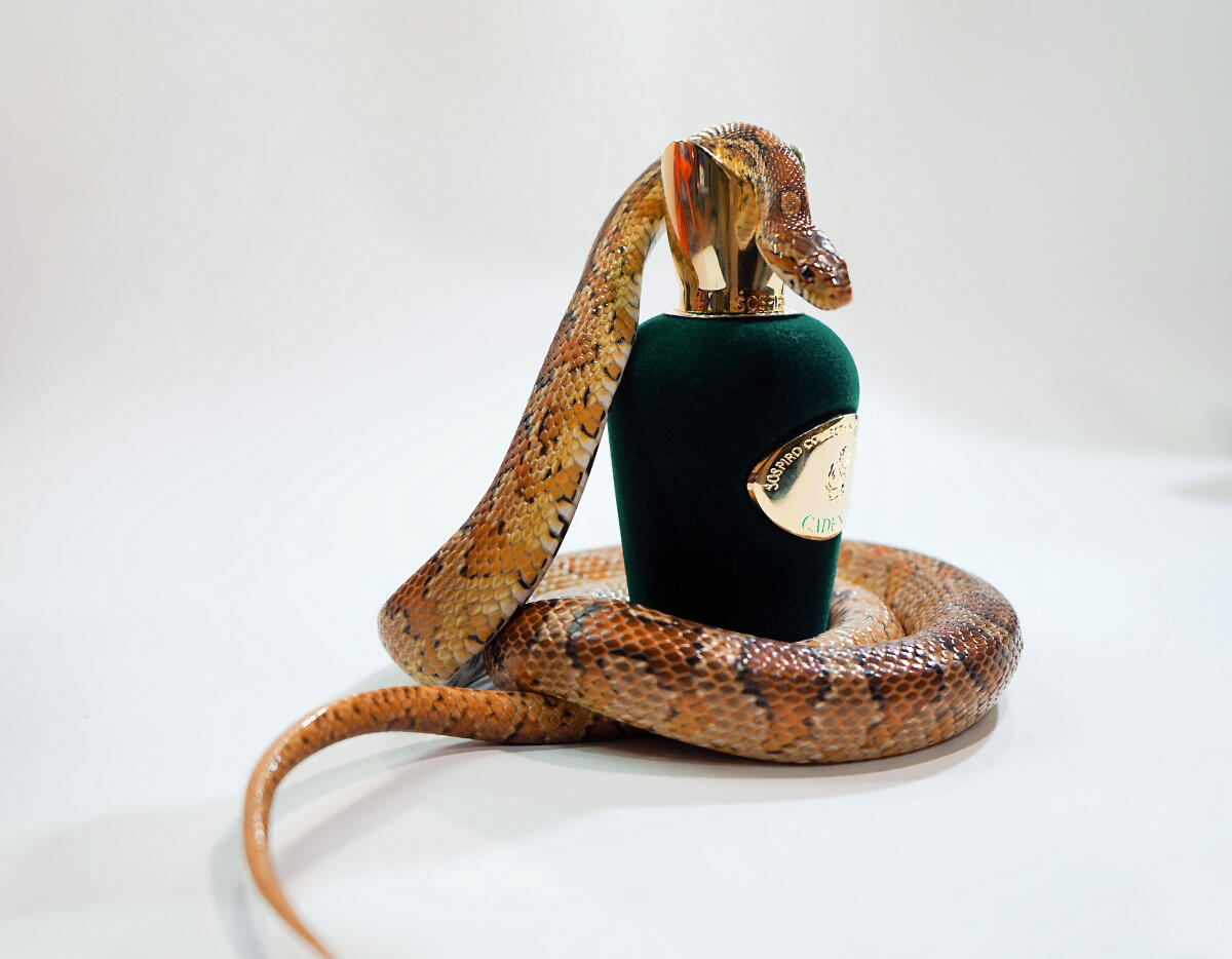 عطر ادکلن کادنزا سوسپیرو پرفیومز - Cadenza Sospiro Perfumes - بررسی، قیمت و خرید