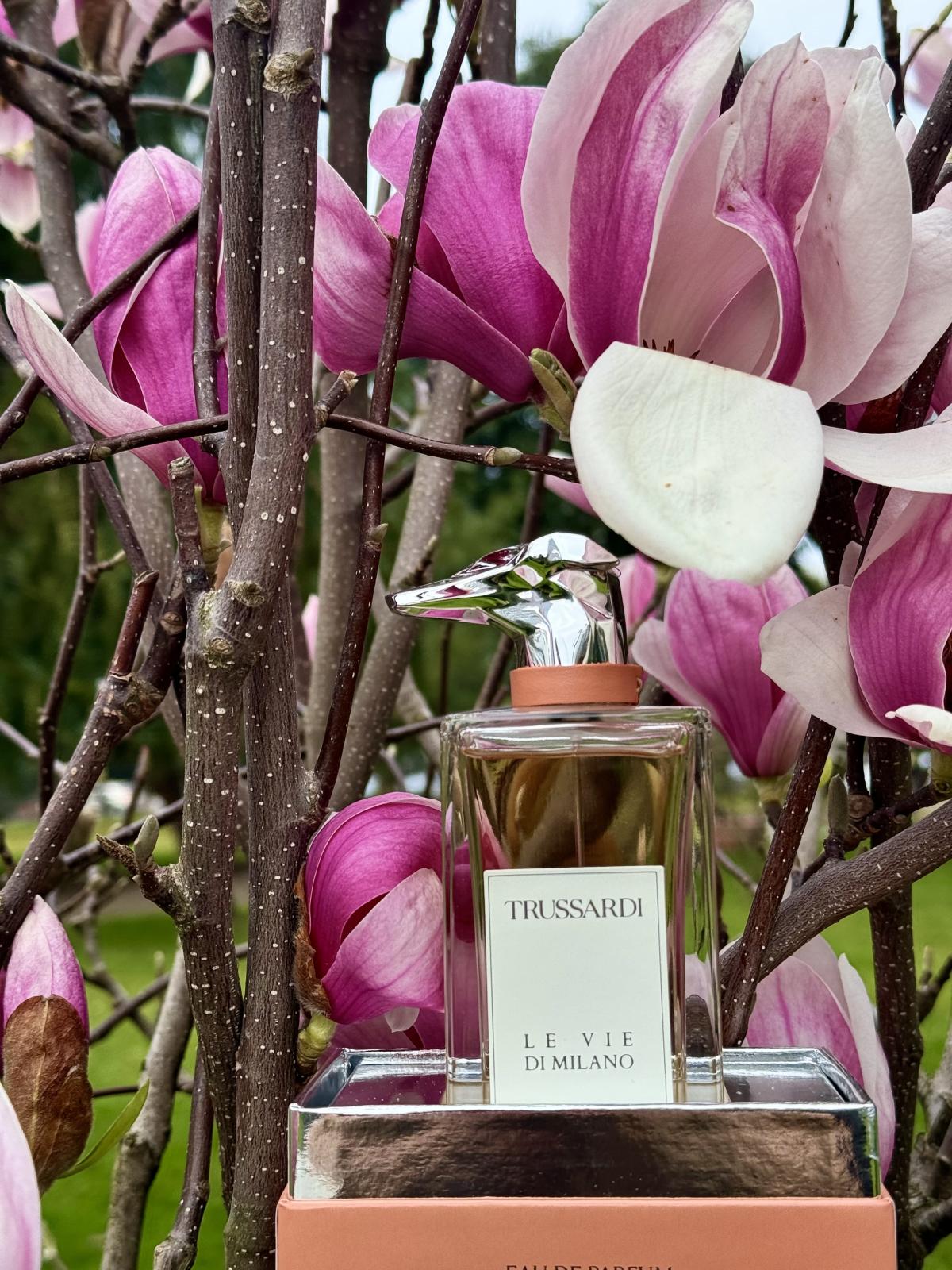 عطر ادکلن دی ایتالیان آرتیستز آف ویا سولفرینو تروساردی - The Italian Artists of Via Solferino Trussardi - بررسی، قیمت و خرید