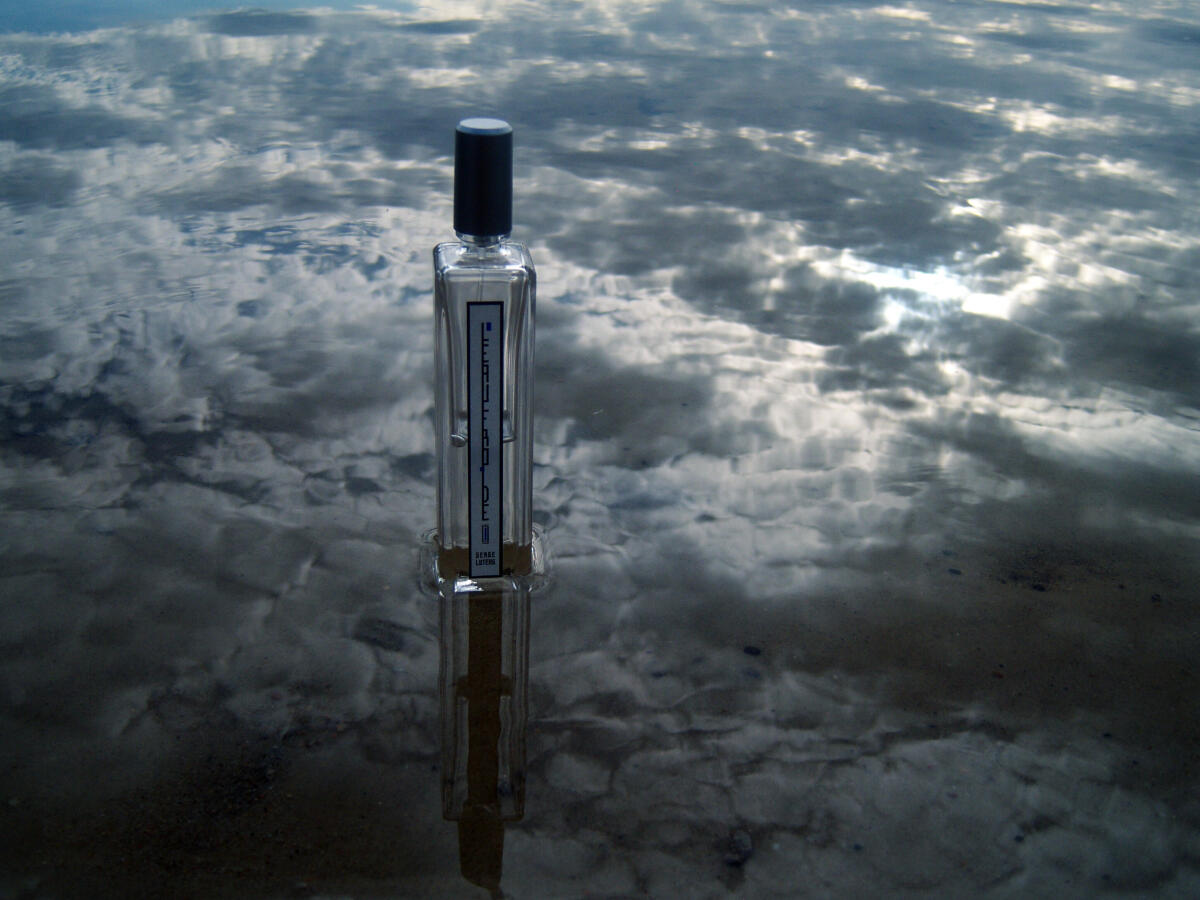 عطر ادکلن لو فغوید سرج لوتانس - L'Eau Froide Serge Lutens - بررسی، قیمت و خرید