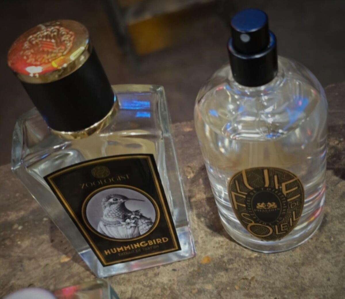 عطر ادکلن هامینگبرد زوالاجیست پرفیومز - Hummingbird Zoologist Perfumes - بررسی، قیمت و خرید
