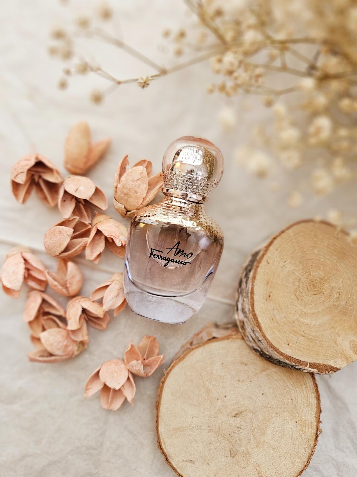 عطر ادکلن آمو فرگامو سالواتوره فراگامو - Amo Ferragamo Salvatore Ferragamo - بررسی، قیمت و خرید