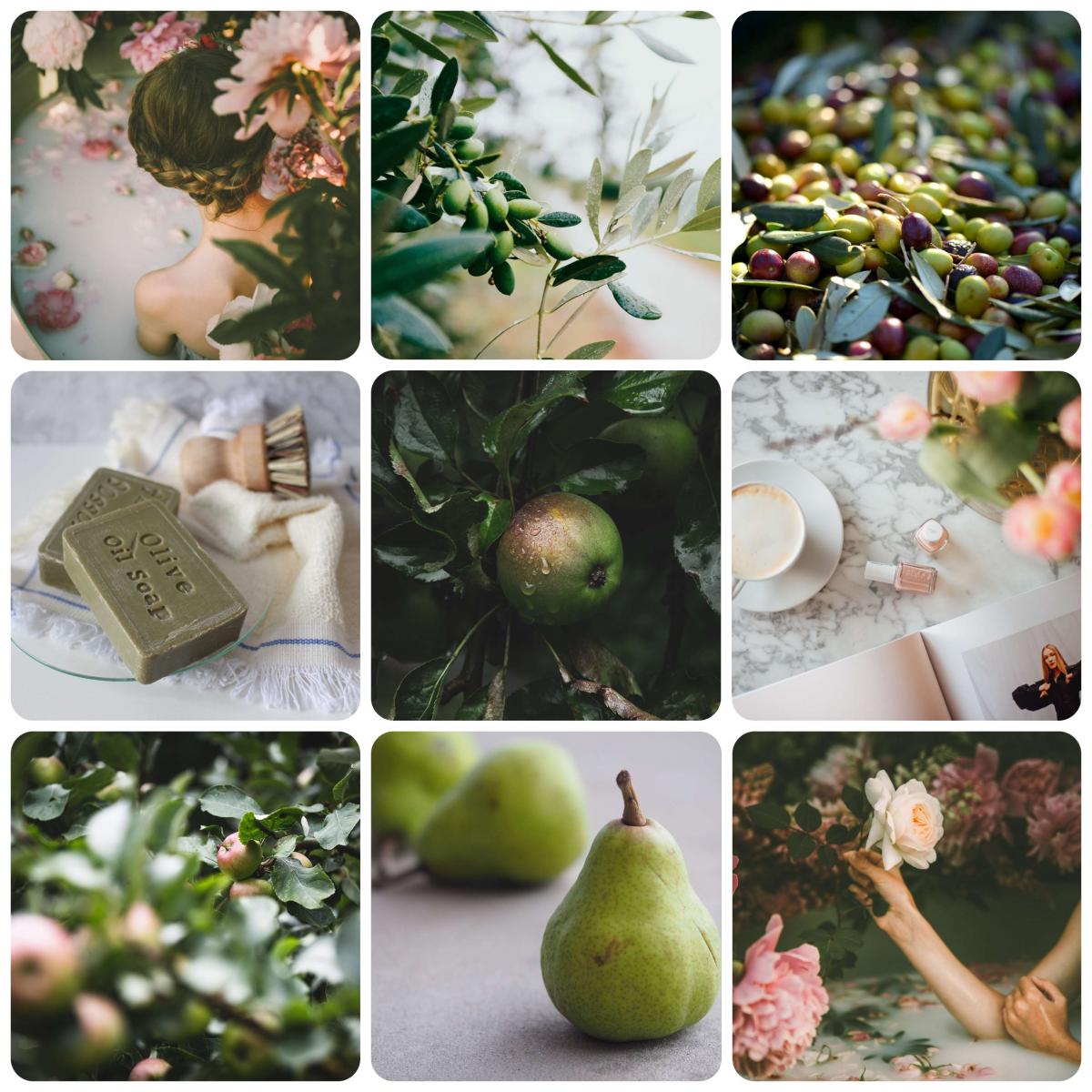 عطر ادکلن پیر اند آلیو اسلمبرهاوس - Pear & Olive Slumberhouse - بررسی، قیمت و خرید