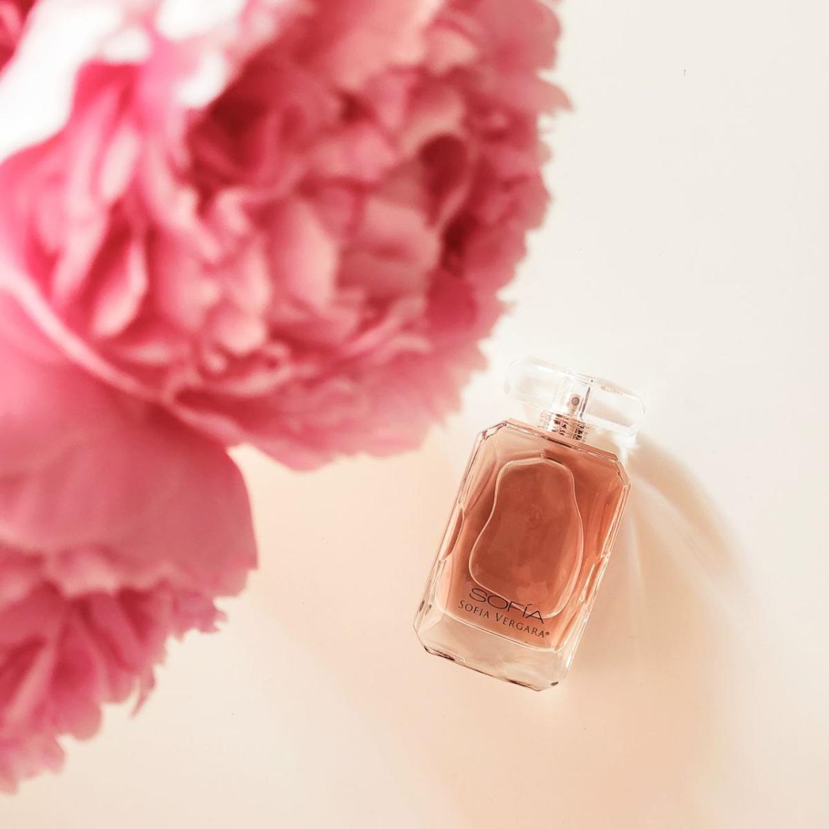 عطر ادکلن سوفیا سوفیا ورگارا - Sofia Sofia Vergara - بررسی، قیمت و خرید