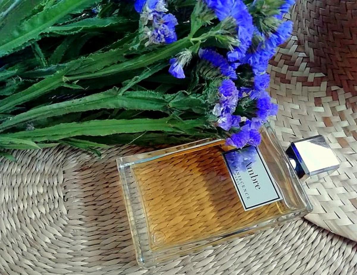 عطر ادکلن آمبر رِمینی‌سِنس - Ambre Reminiscence - بررسی، قیمت و خرید