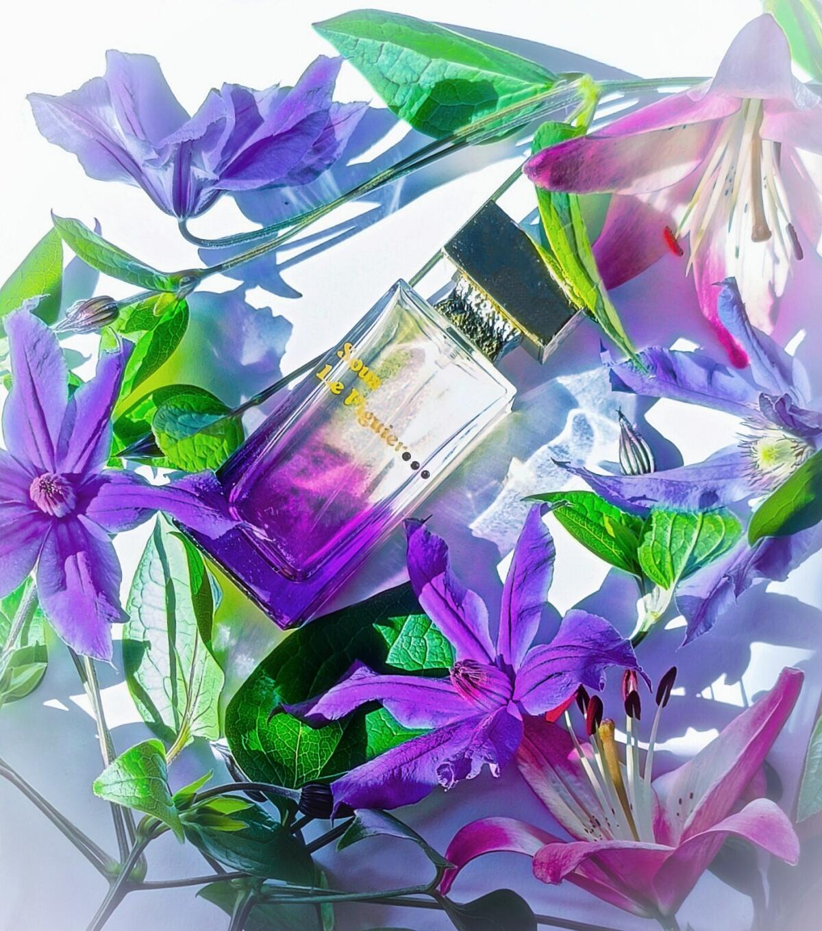 عطر ادکلن سول فیگیه ام میکالف - Sous Le Figuier M. Micallef - بررسی، قیمت و خرید