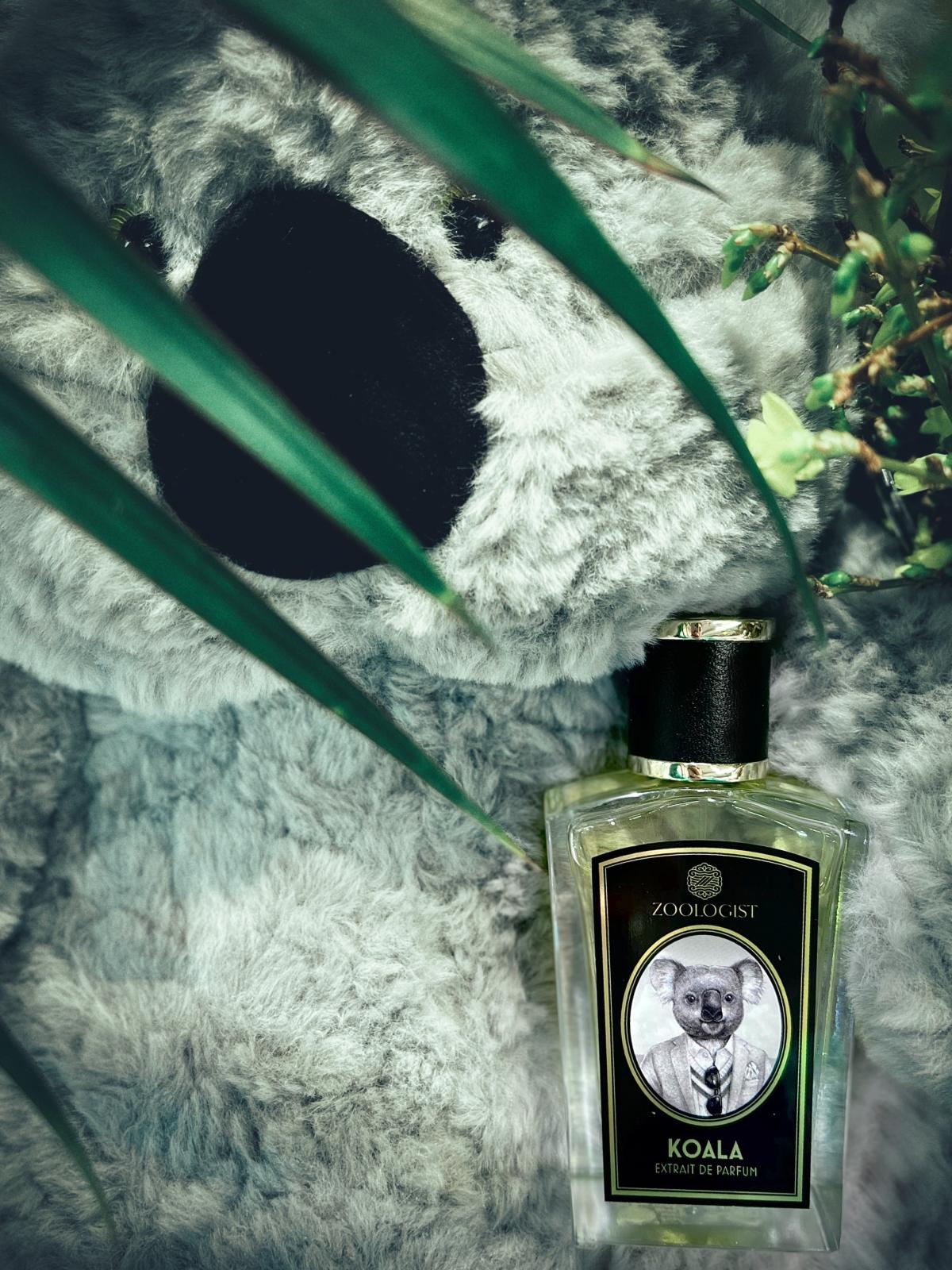 عطر ادکلن کوالا زولوژیست پرفیومز - Koala Zoologist Perfumes - بررسی، قیمت و خرید