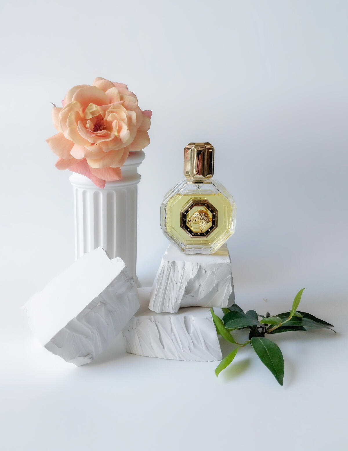 عطر ادکلن رویال ایگل گلد استفانو ریچی - Royal Eagle Gold Stefano Ricci - بررسی، قیمت و خرید