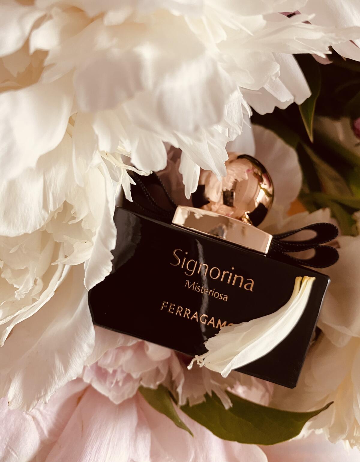 عطر ادکلن سینیورینا مستریوسا سالواتوره فراگامو - Signorina Misteriosa Salvatore Ferragamo - بررسی، قیمت و خرید