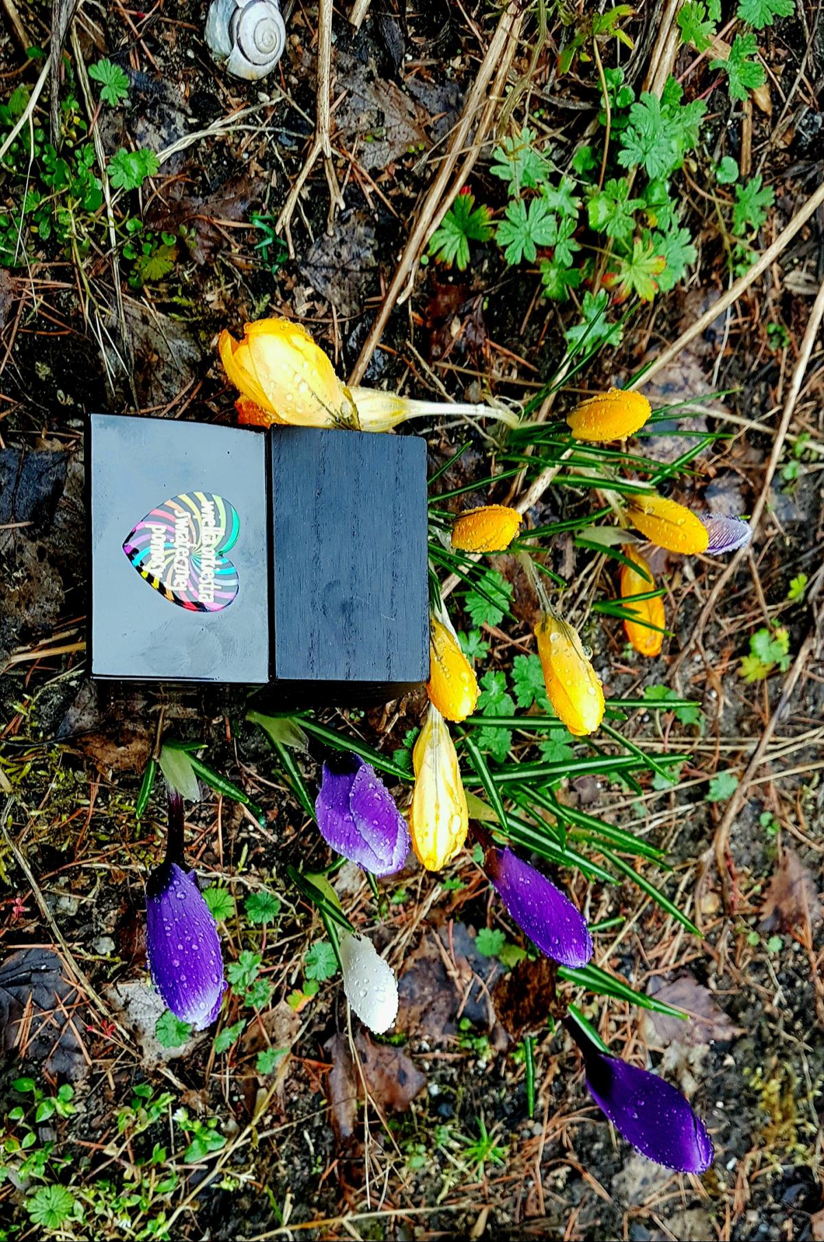 عطر ادکلن میوزیک وُسپ - Music WOSP - بررسی، قیمت و خرید