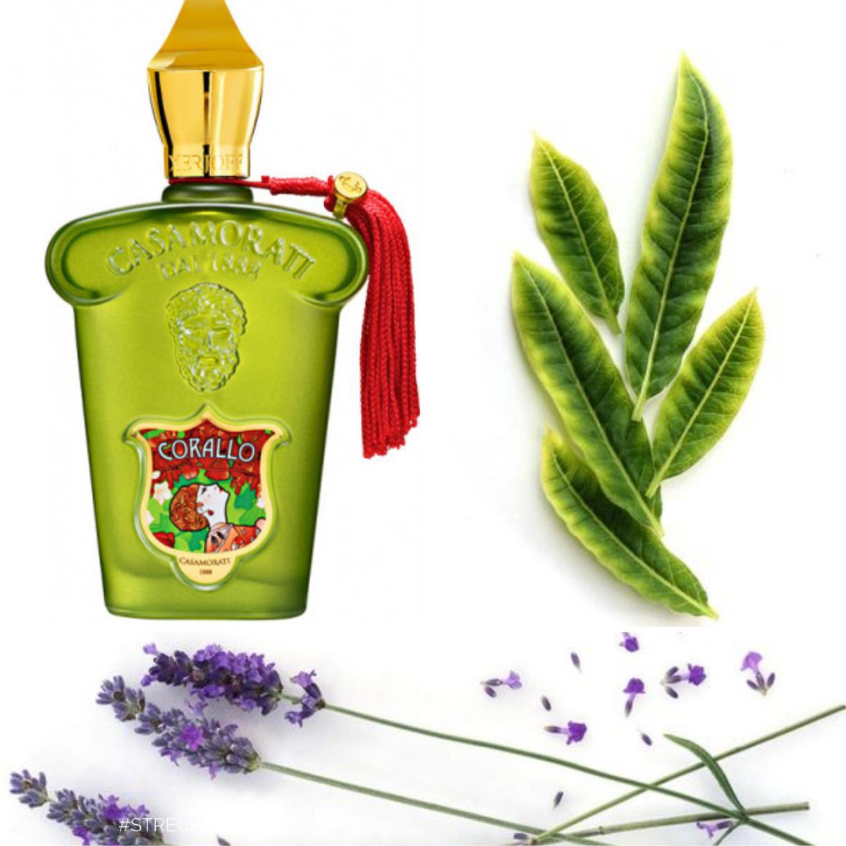 عطر ادکلن کورالو زرژوف - Corallo Xerjoff - بررسی، قیمت و خرید