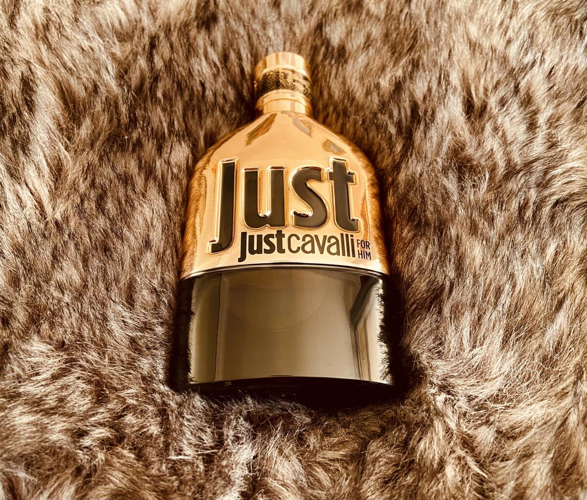عطر ادکلن جاست کاوالی گلد فور هیم روبرتو کاوالی - Just Cavalli Gold for Him Roberto Cavalli - بررسی، قیمت و خرید