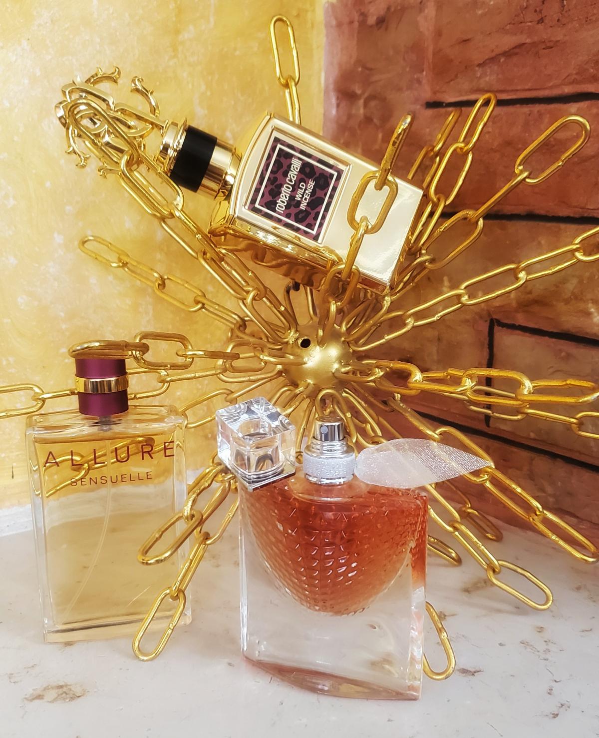 عطر ادکلن وایلد اینسنس روبرتو کاوالی - Wild Incense Roberto Cavalli - بررسی، قیمت و خرید