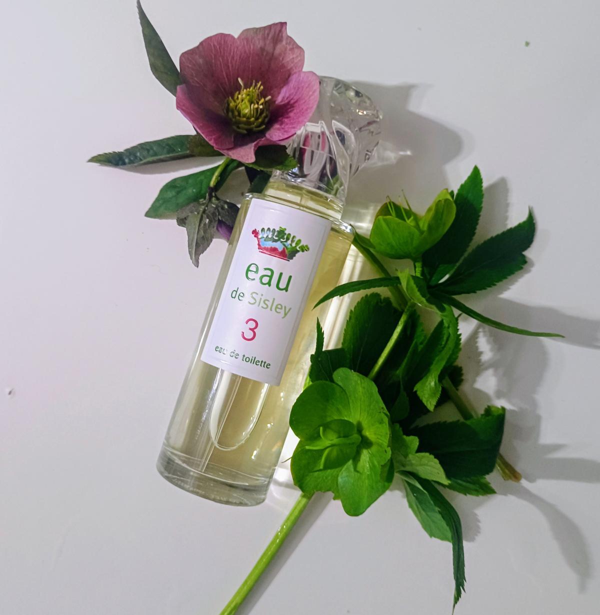 عطر ادکلن سیسلی او دو تری سیسلی - Sisley Eau de 3 Sisley - بررسی، قیمت و خرید