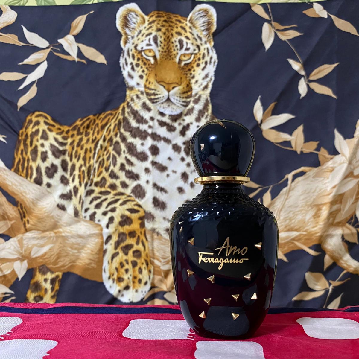 عطر ادکلن آمو فرگامو لیمیتد ادیشن سالوارتوره فراگامو - Amo Ferragamo Limited Edition Salvatore Ferragamo - بررسی، قیمت و خرید